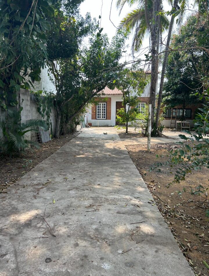 WhatsApp Image 2025-08-18 at 12.49.53